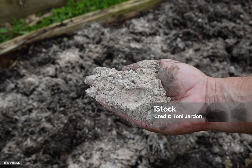 farmer’s hand holds handful of ash for use in vegetable garden as fertilizer farmer's hand holds handful of ash for use in vegetable garden as fertilizer